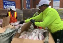 Cooperación internacional permite lograr la incautación de tres contenedores con mercancía falsificada