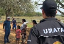 En operativos de rescate, Umata Cartagena ha atendido y puesto a salvo a más de 300 animales en Montería y zonas rurales cercanas