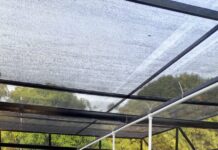 Afinia fortalece la restauración ecológica en el Magdalena con nuevos viveros autosostenibles