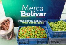 Merca Bolívar llega hoy al Portal de la Cordialidad