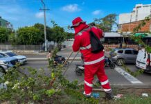 Veolia llevó a cabo una gran jornada de embellecimiento y recuperación de la Loma del Marión