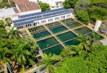AGUAS DE CARTAGENA CONTINÚA HOY CON EL SEGUNDO DÍA DE LA PARADA TÉCNICA TRAS CULMINAR CON ÉXITO LA PRIMERA JORNADA